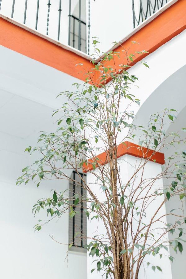 Apartamento One & Lux- Lagar Sevilla Exterior foto
